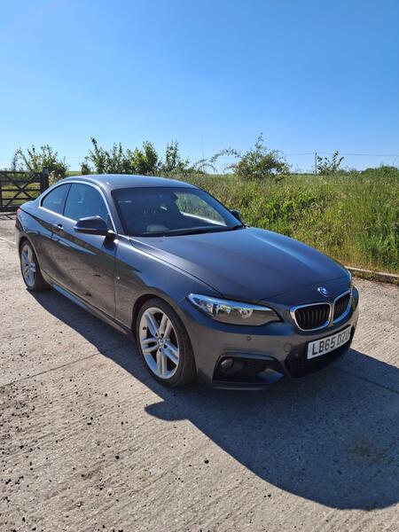 BMW 2 SERIES 2.0 220i M Sport Coupe